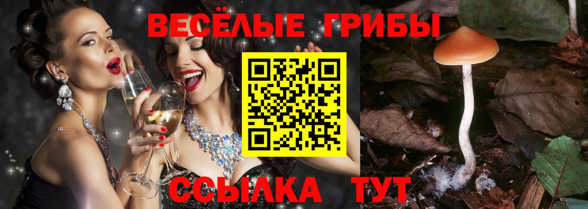 Псилоцибиновые грибы GOLDEN TEACHER  Вход с VPN  Сокол 